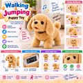 Walking & Jumping Puppy Toy – Your Little One’s Cute New Friend